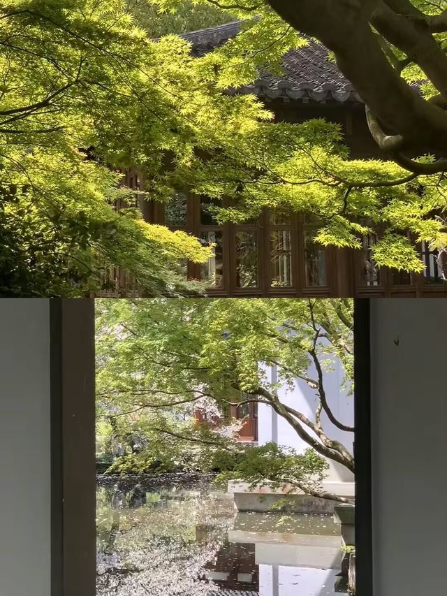 啱啱喺杭州返嚟，講啲真心話