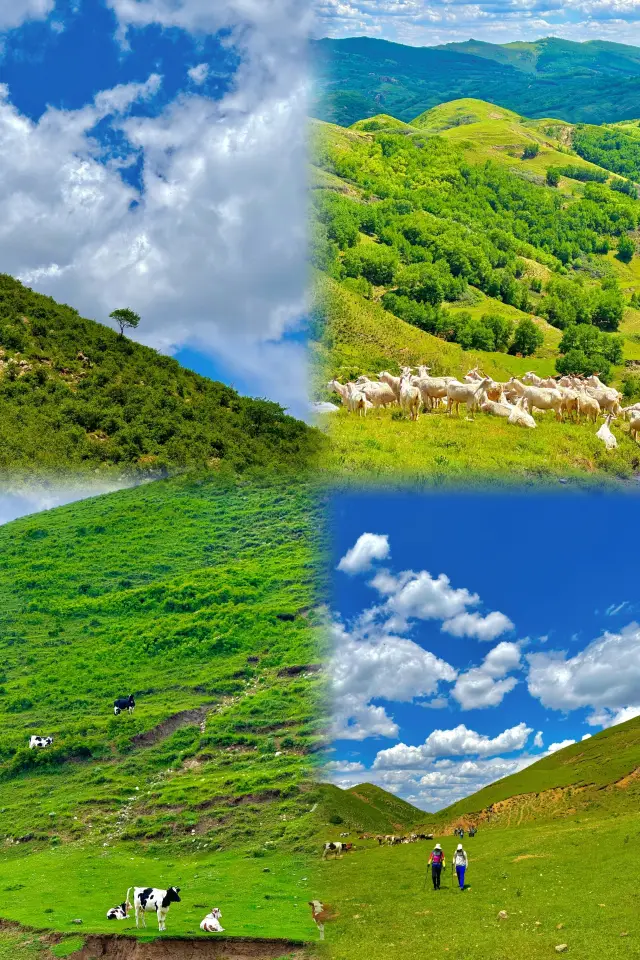 후허하오터에서 마음속 갈망하는 자유를 찾을 수 있을까요?