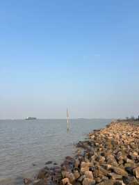 上海濱江森林公園