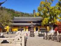 焦山