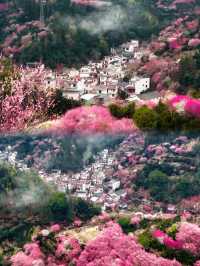 原來陶淵明筆下的《桃花源記》是真實存在的