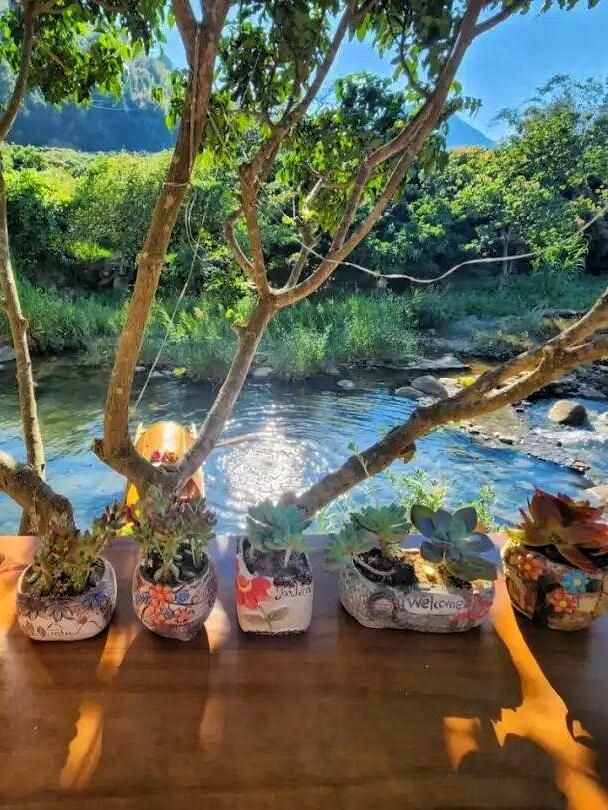 廣州私藏的溪邊森系民宿，美到不想走