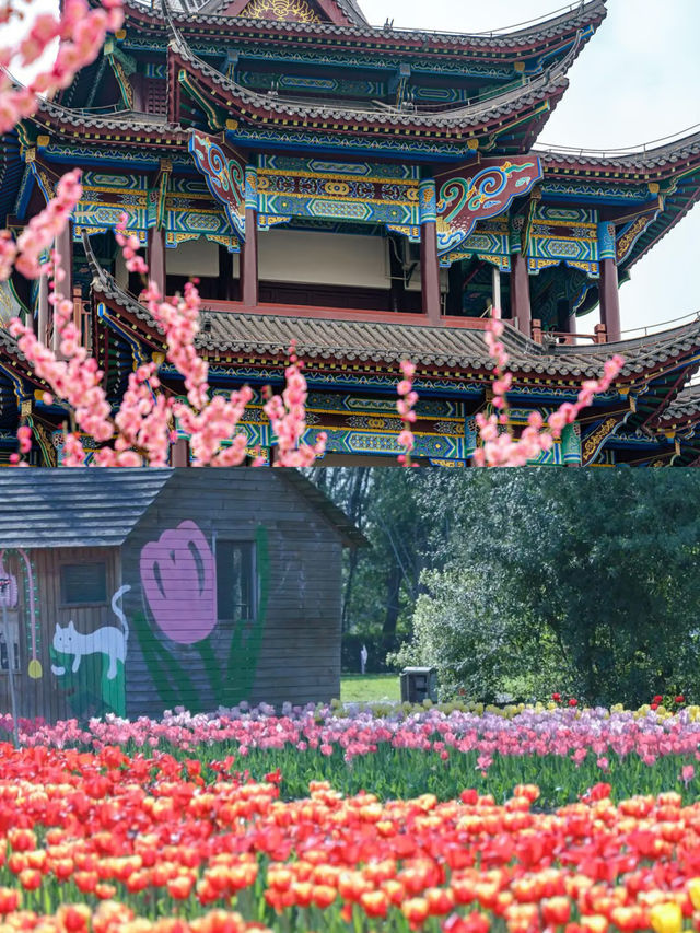 武漢親子遊歸來，真心不建議3月去