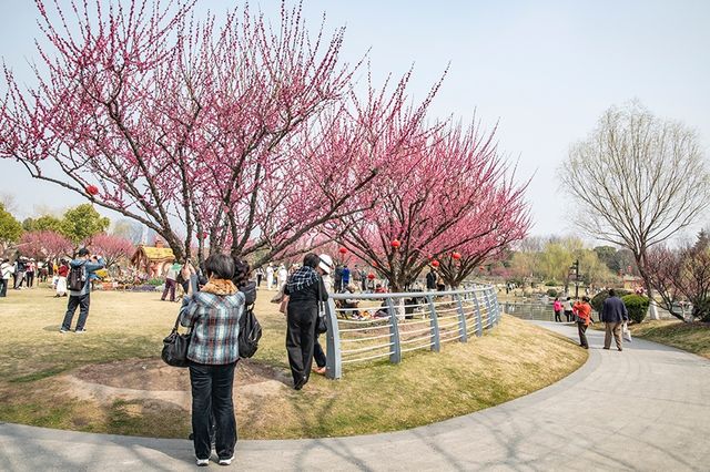 莘莊梅園