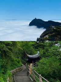 佛系青年的修仙之旅