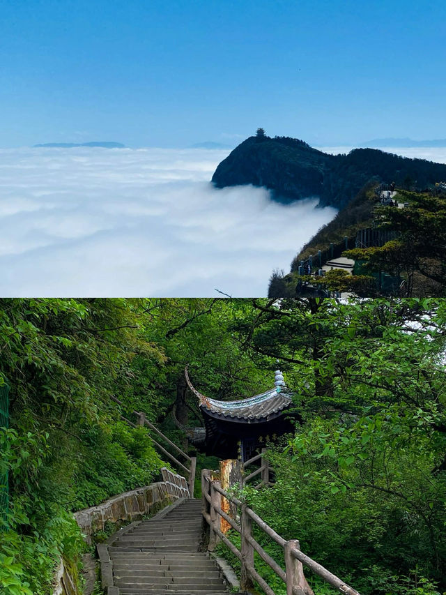 佛系青年的修仙之旅