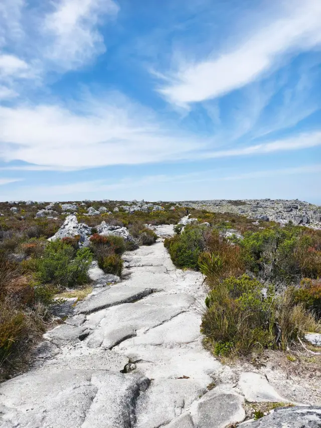 8-Day South Africa Tour: Your Perfect Qingming Holiday Itinerary