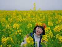 春日支線任務1/10 羅平油菜花