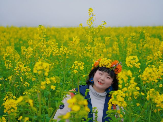 春日支線任務1/10 羅平油菜花