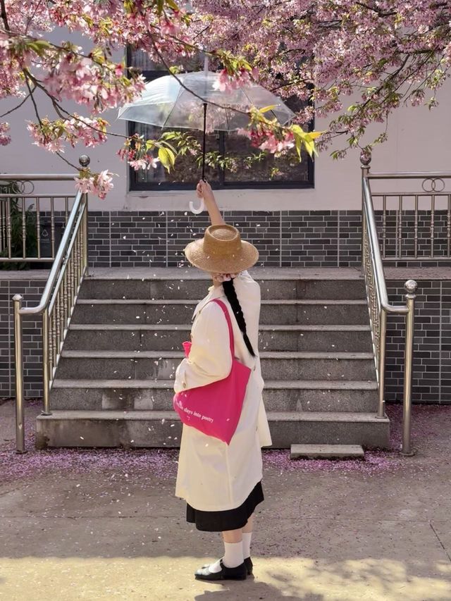 武漢這個小眾櫻花園怎麼不宣傳啊！簡直絕了！！