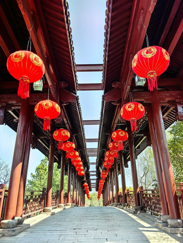 梅花洲
