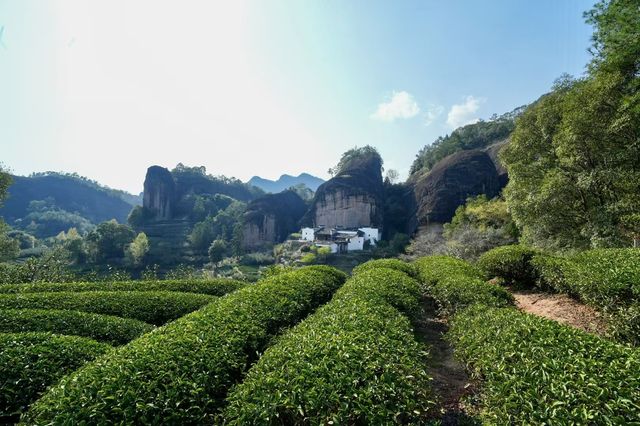 尋茶馬頭岩