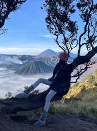 Bromo火山日出豪賭成功
