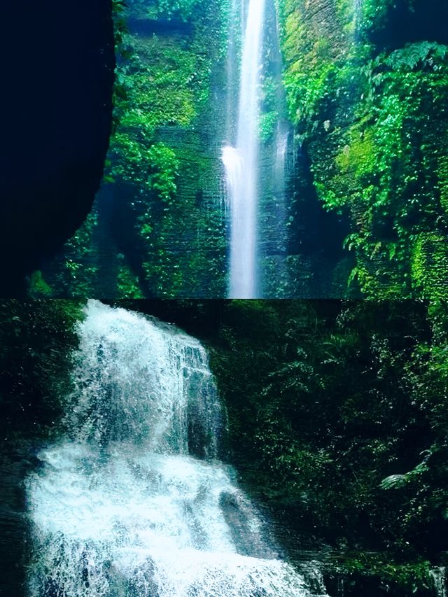眾人皆赴海  唯我獨向山