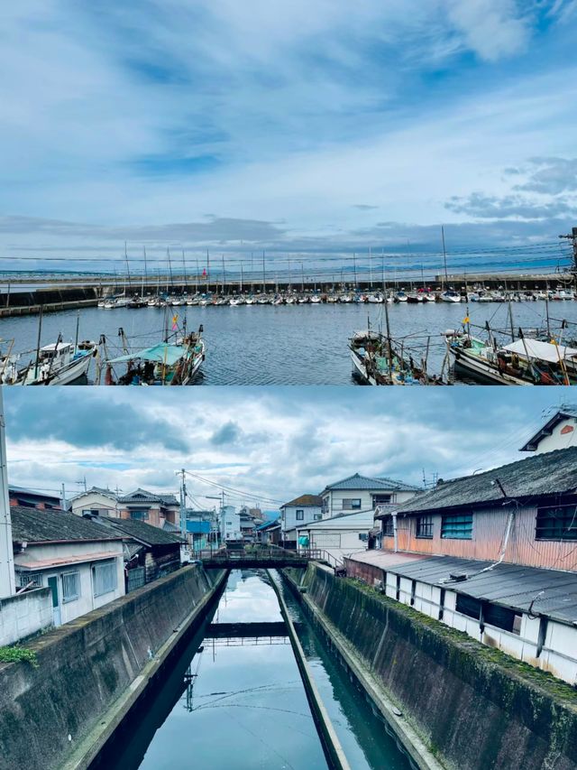 日本泉佐野