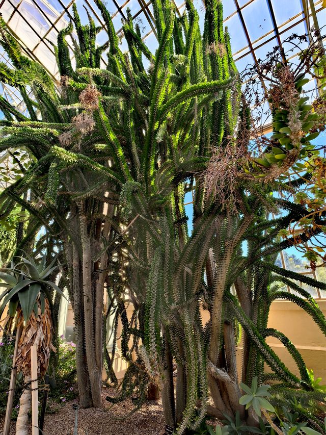 走進植物王國