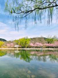 國家植物園，北京絕美賞桃花勝地