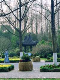 南京限定！中山植物園櫻花保姆級攻略