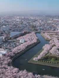 日本3日遊 玩轉經典不走彎路