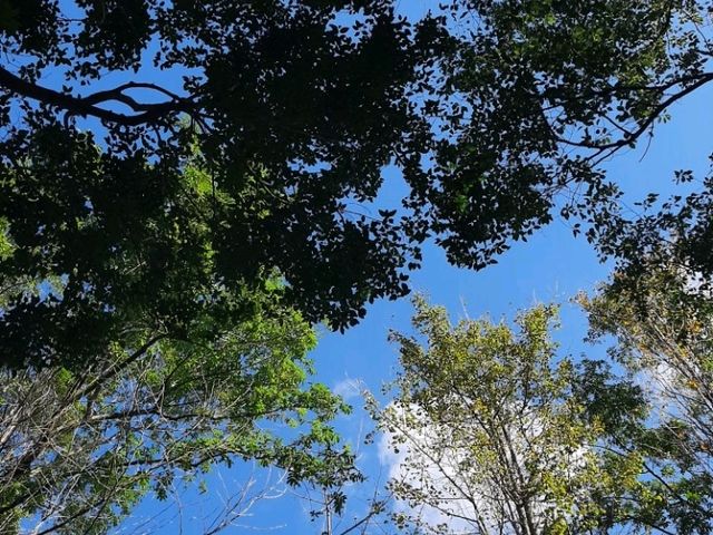 To be Alone with Nature