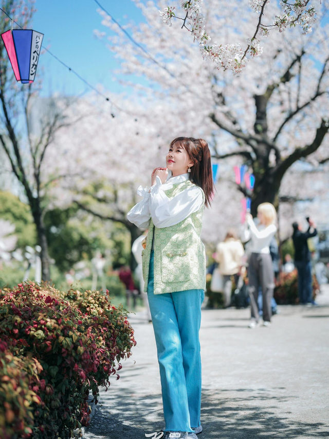 東京櫻花拍攝聖地大公開🌸人少出片超絕