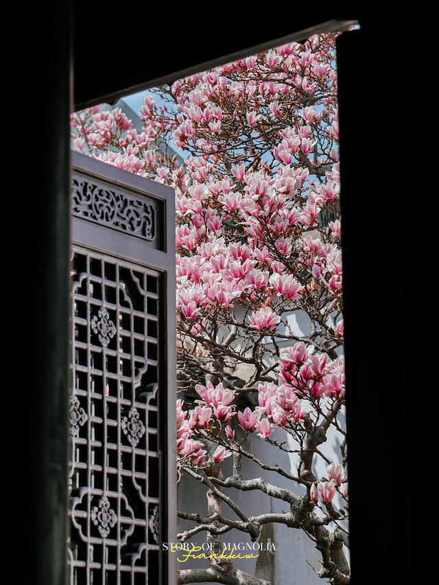 Experience the Enchanting Spring in Suzhou