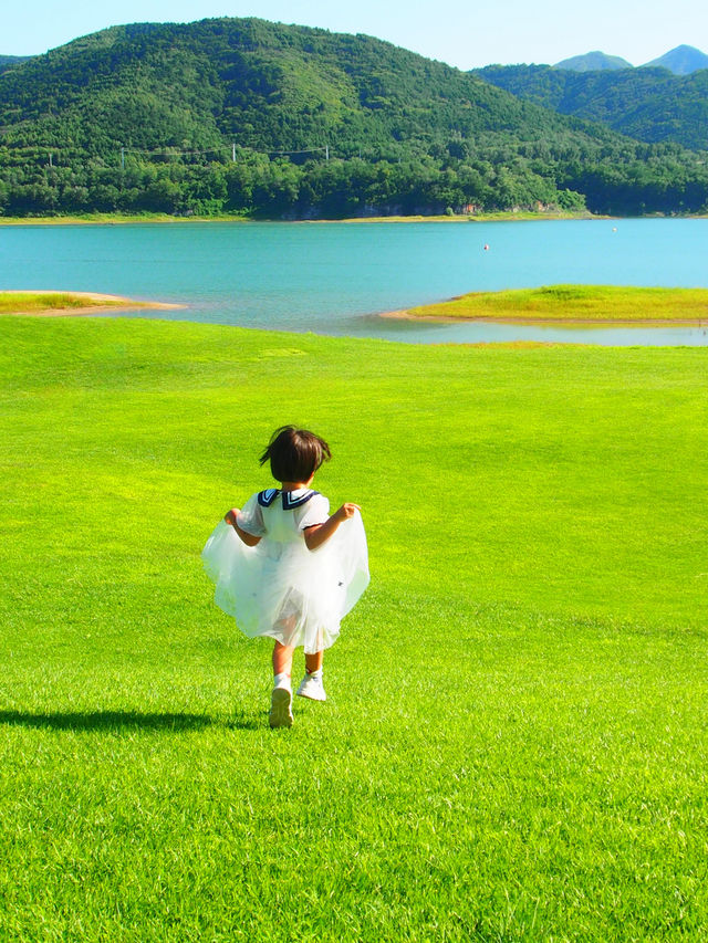 如歌的旅行｜碧波島的春天，去賞花去露營吧！
