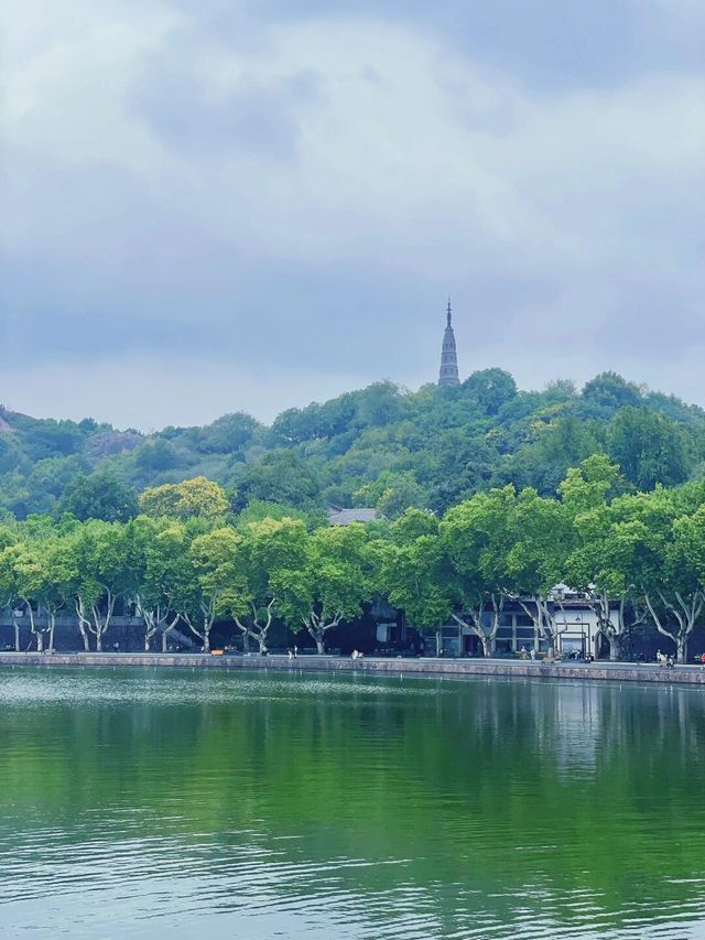 西湖美景全覆蓋！一日遊路線指南