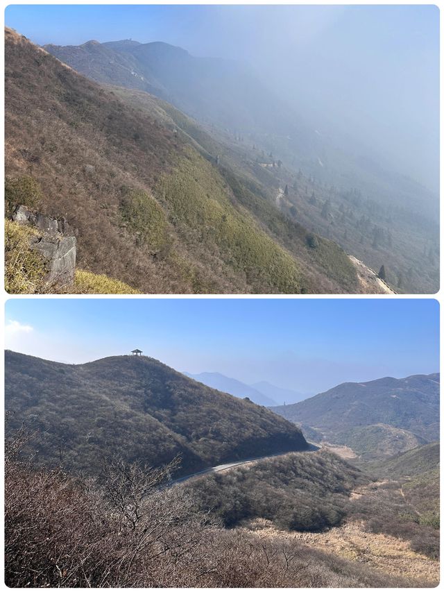 收藏這份攻略，去大圍山做一日「森林精靈」吧！ 