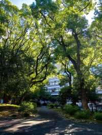 東京慢活散步｜日比谷公園：喧囂城市中靜靜呼吸嘅綠色角落