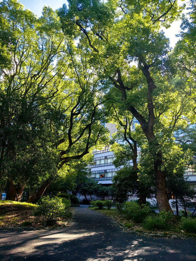 東京慢活散步｜日比谷公園：喧囂城市中靜靜呼吸嘅綠色角落