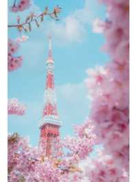 東京タワーと桜の絶妙な組み合わせ🌸｜撮影スポット紹介