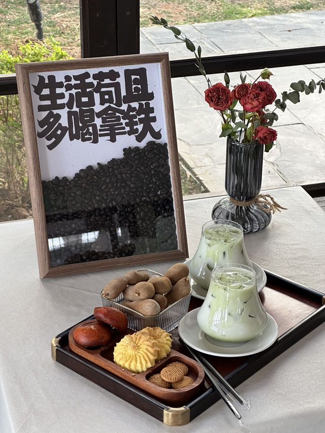 麗江隱藏秘境，撸兔吸貓還能躺著看雪山！