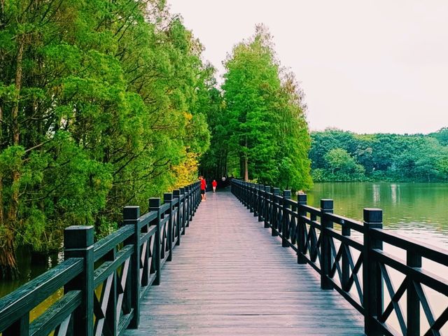 Haizhu Lake Park: An Urban Oasis in Guangzhou