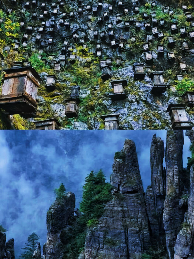 神農架1天怎麼玩？看這篇就夠啦