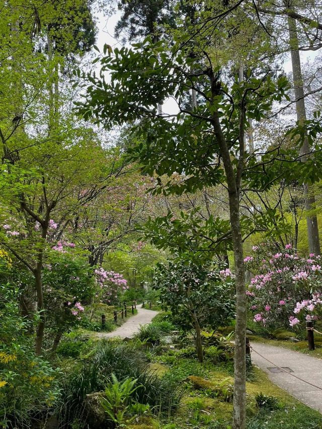 三千院