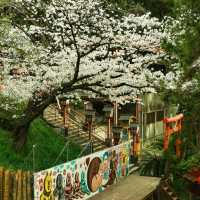 ⛩️【福岡光雲神社｜被兔子與繪馬治癒的森系小秘境】