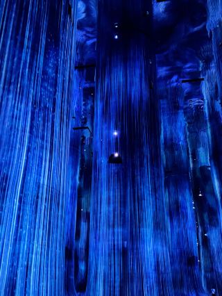 Teamlab Phenomena Abu Dhabi is trending on social media!