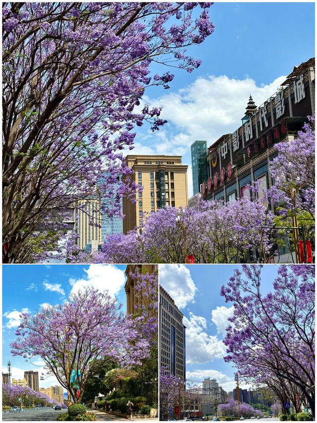 攀枝花現狀，沒來的姐妹注意