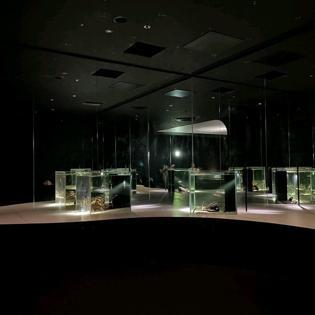 太美了！這家水族館做成了藝術展館！