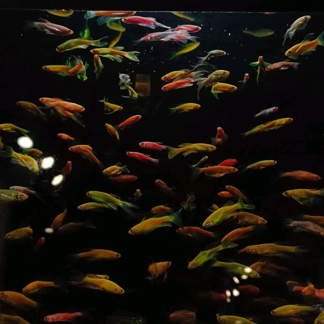 🌧️陰天打卡廣州塔，淚灑雲端後的懇切勸告！晴天來才是王炸！