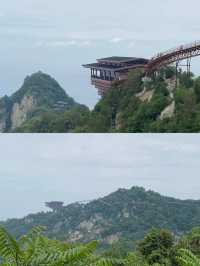 渭水之南，與華相宜