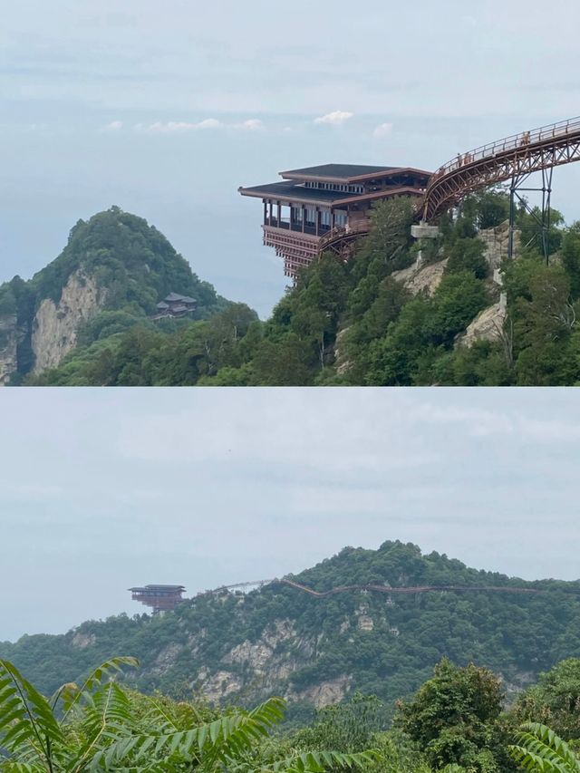 渭水之南，與華相宜