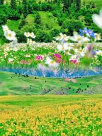 川西格聶花海幾月去最美？