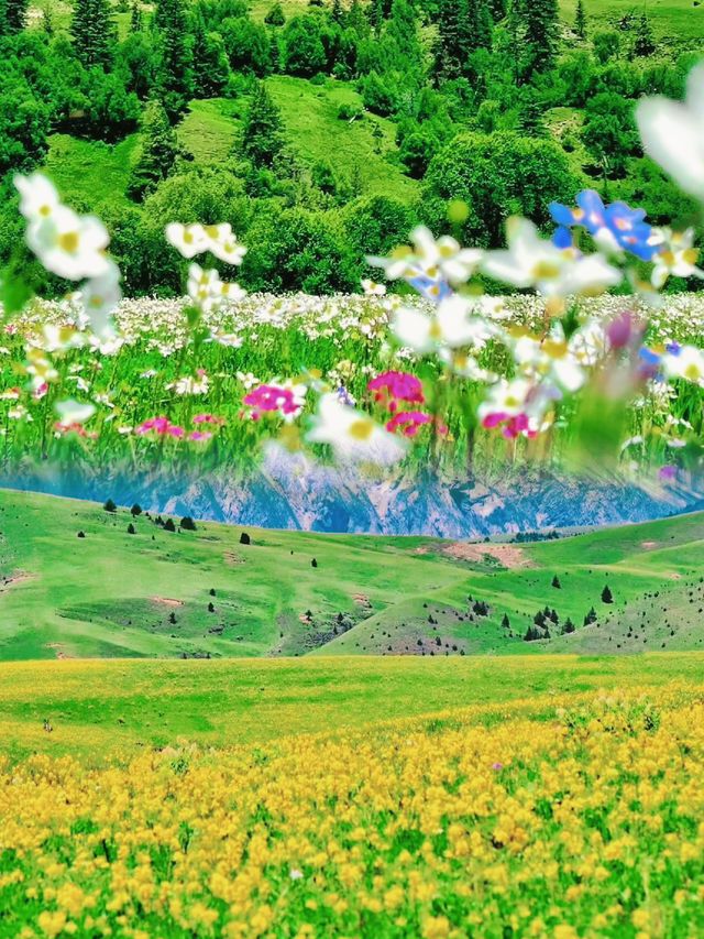 川西格聶花海幾月去最美？