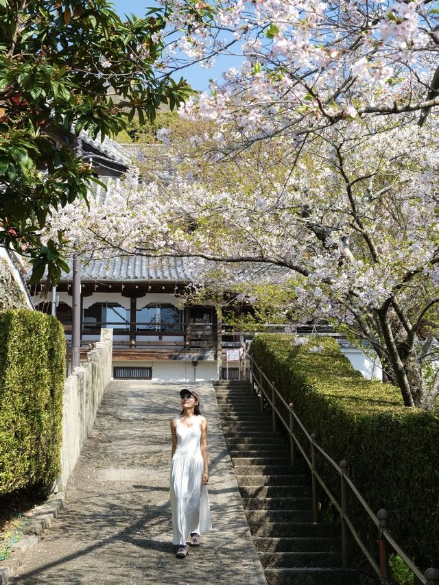 和歌山旅行 保姆級攻略嚟啦！