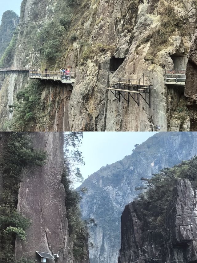 宜章受罪已回，實話拒噴