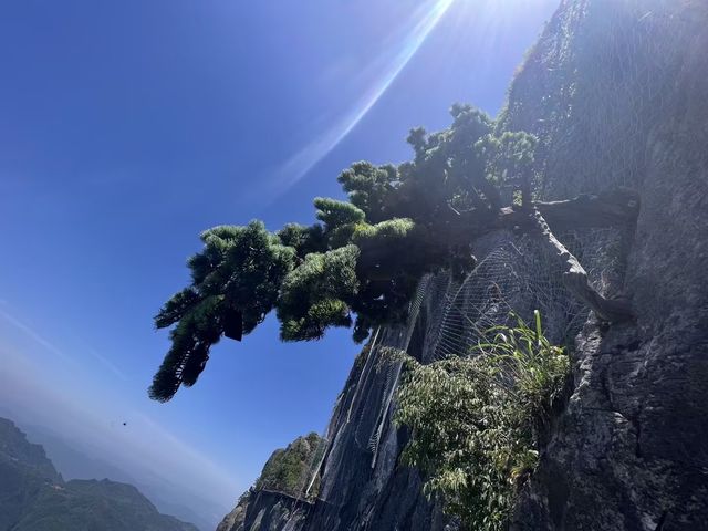 隱藏在張家界的寶藏景區，七星山帶你開啟雲端夢幻之旅！