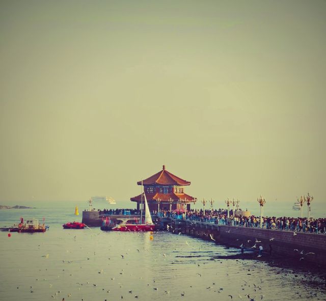 青島！紅瓦綠樹，碧海藍天的浪漫之城！！！