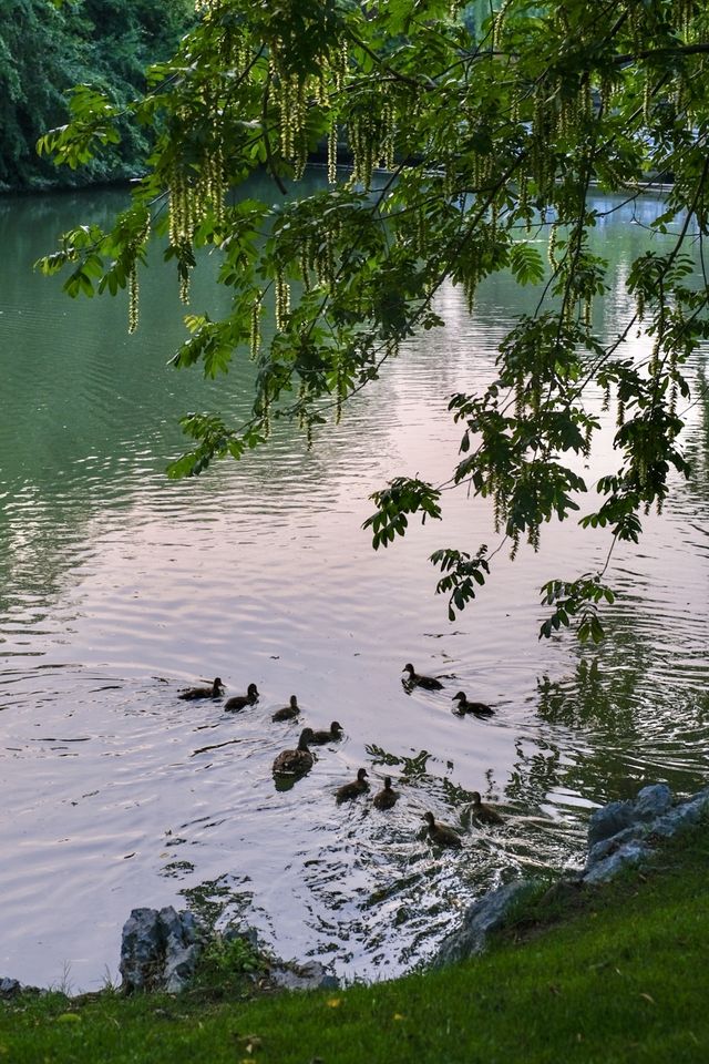 揚州｜住進中式浪漫的園林